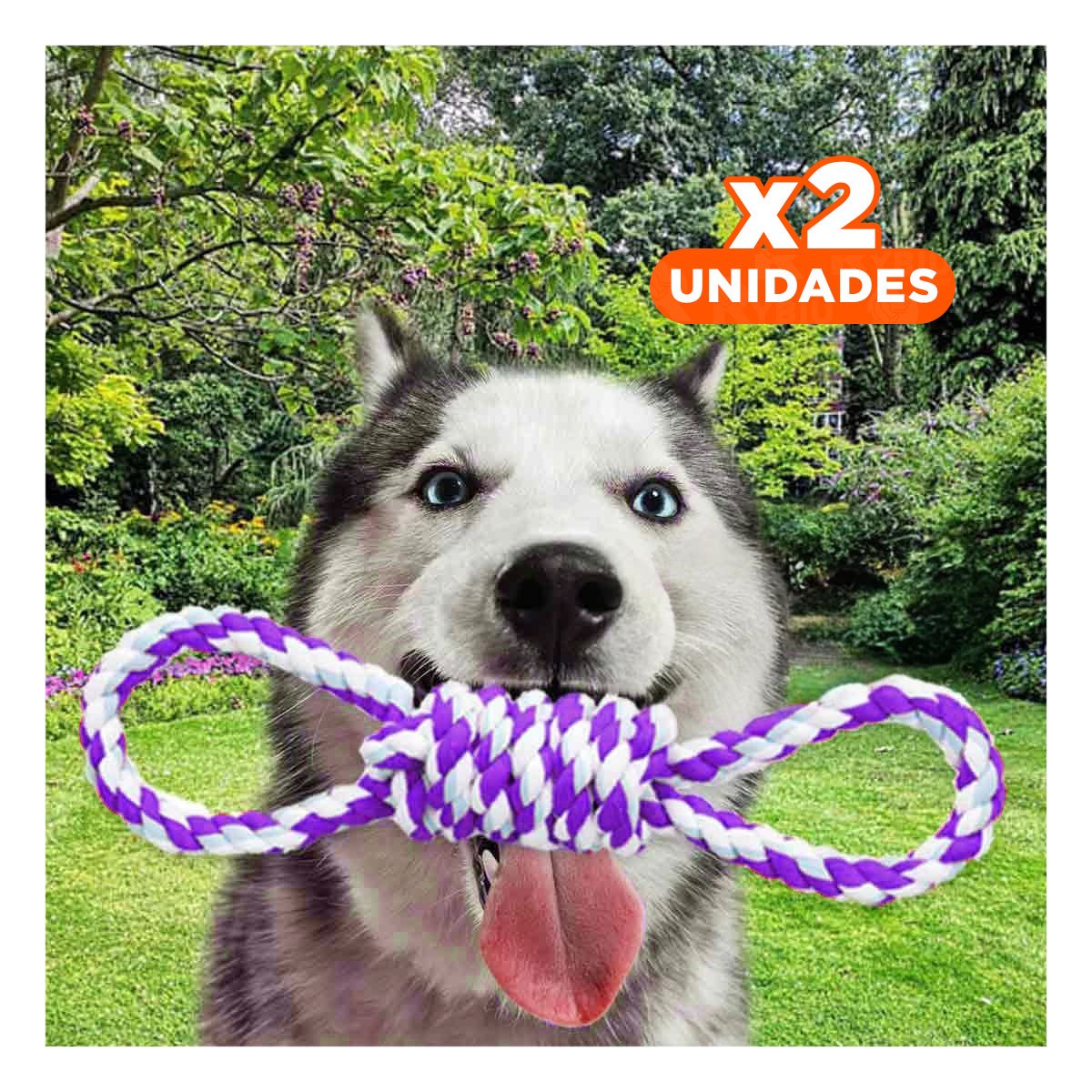 PACK2 JUGUETE TRENZADO PARA MASCOTA MORADO 4 NUDOS FIRME Y DE CALIDAD Y+REGALO STICKER - 1