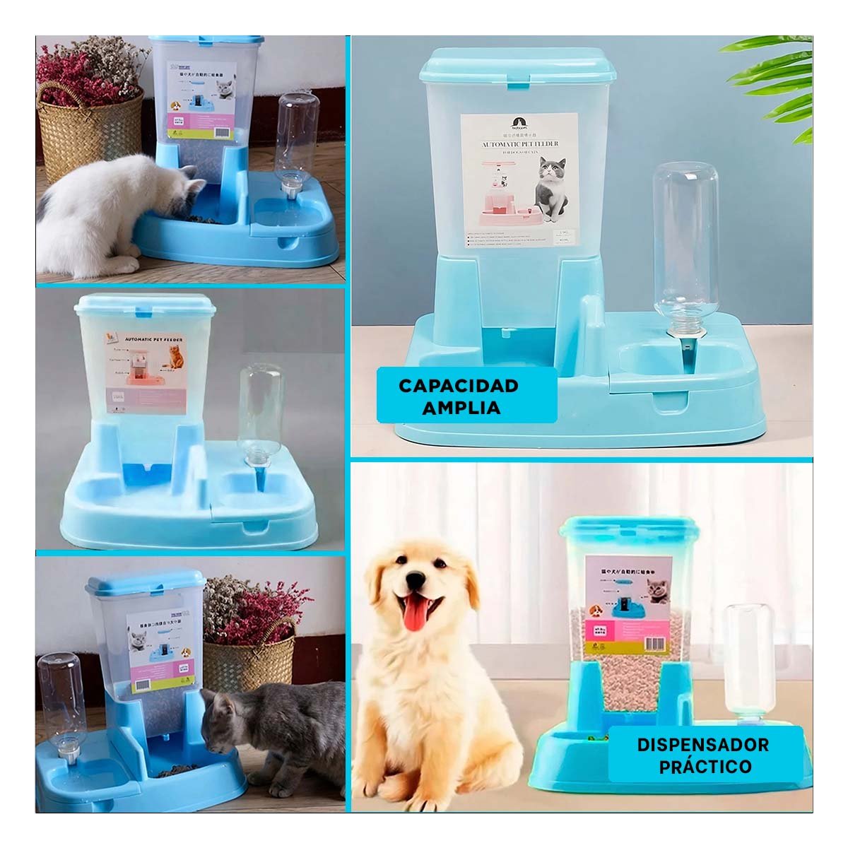 PACK4 BASE DOBLE CELESTE PARA MASCOTA PRACTICA Y RESISTENTE DURABLE Y+REGALO STICKER - 2