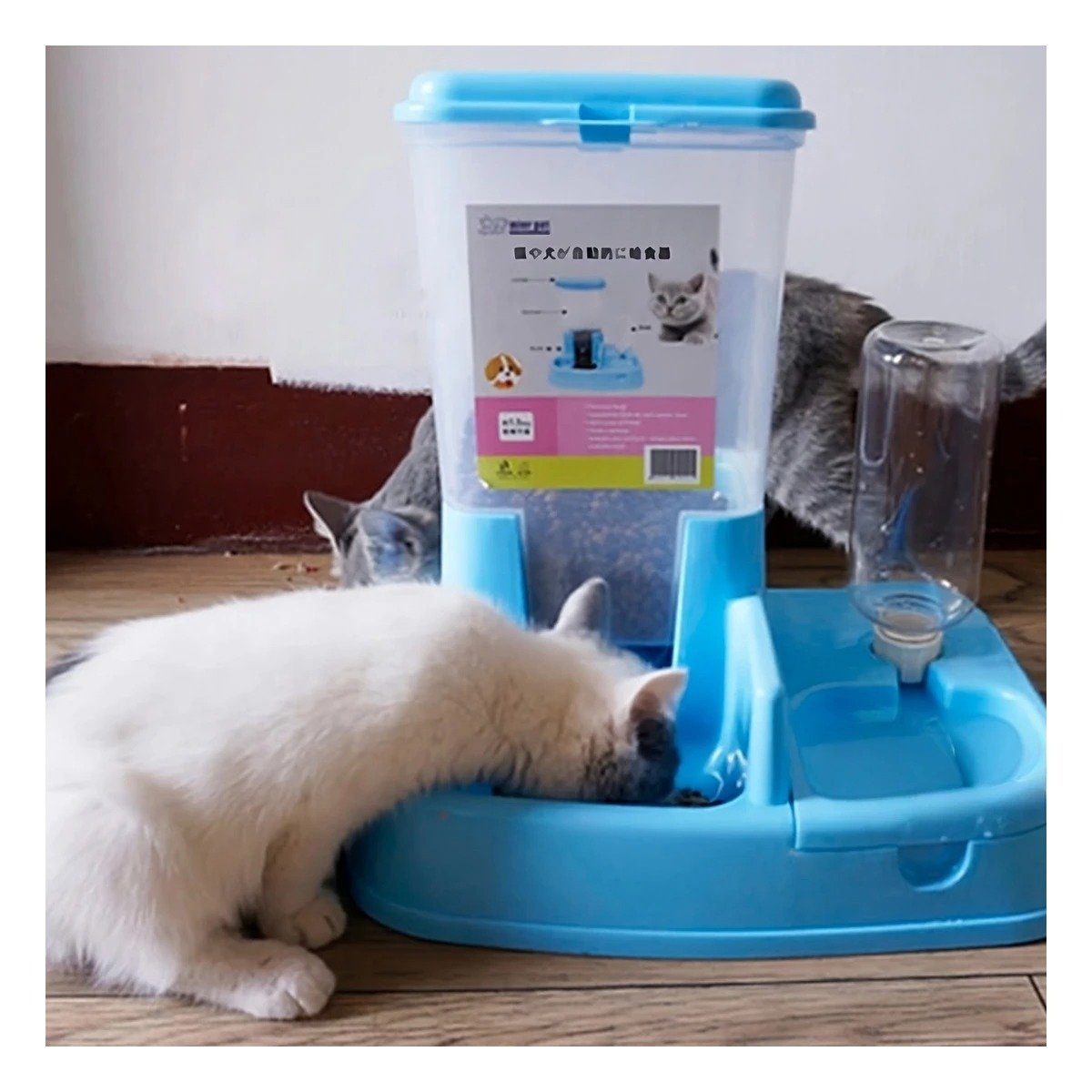 PACK4 BASE DOBLE CELESTE PARA MASCOTA PRACTICA Y RESISTENTE DURABLE Y+REGALO STICKER - 5