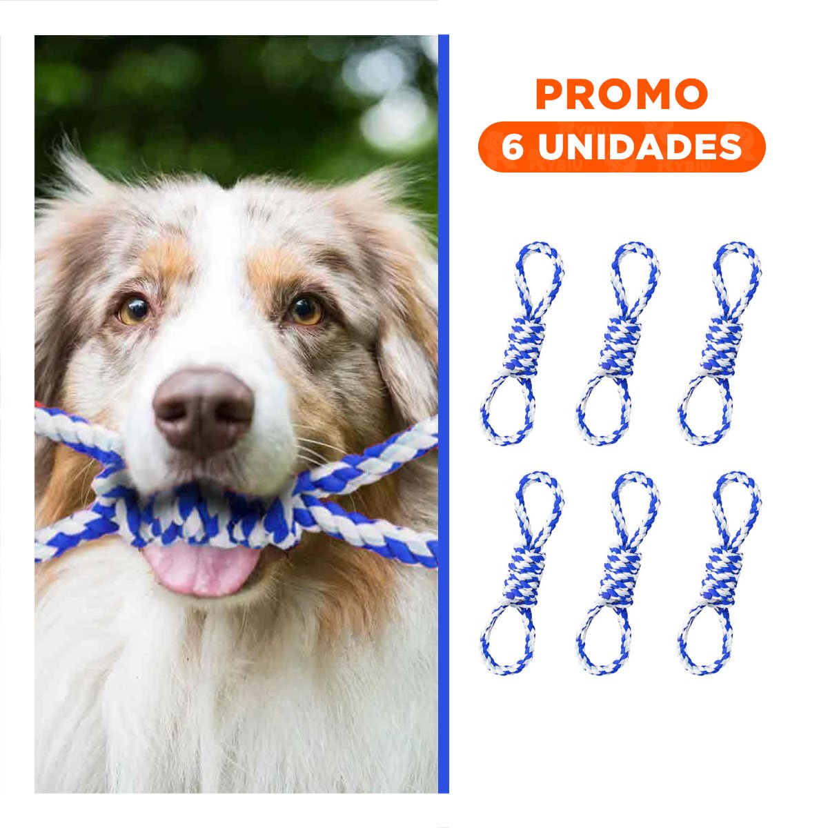 PACK6 LAZO DE ALGODON AZUL PARA MASCOTA 4 NUDOS REFORZADO Y RESISTENTE - 1