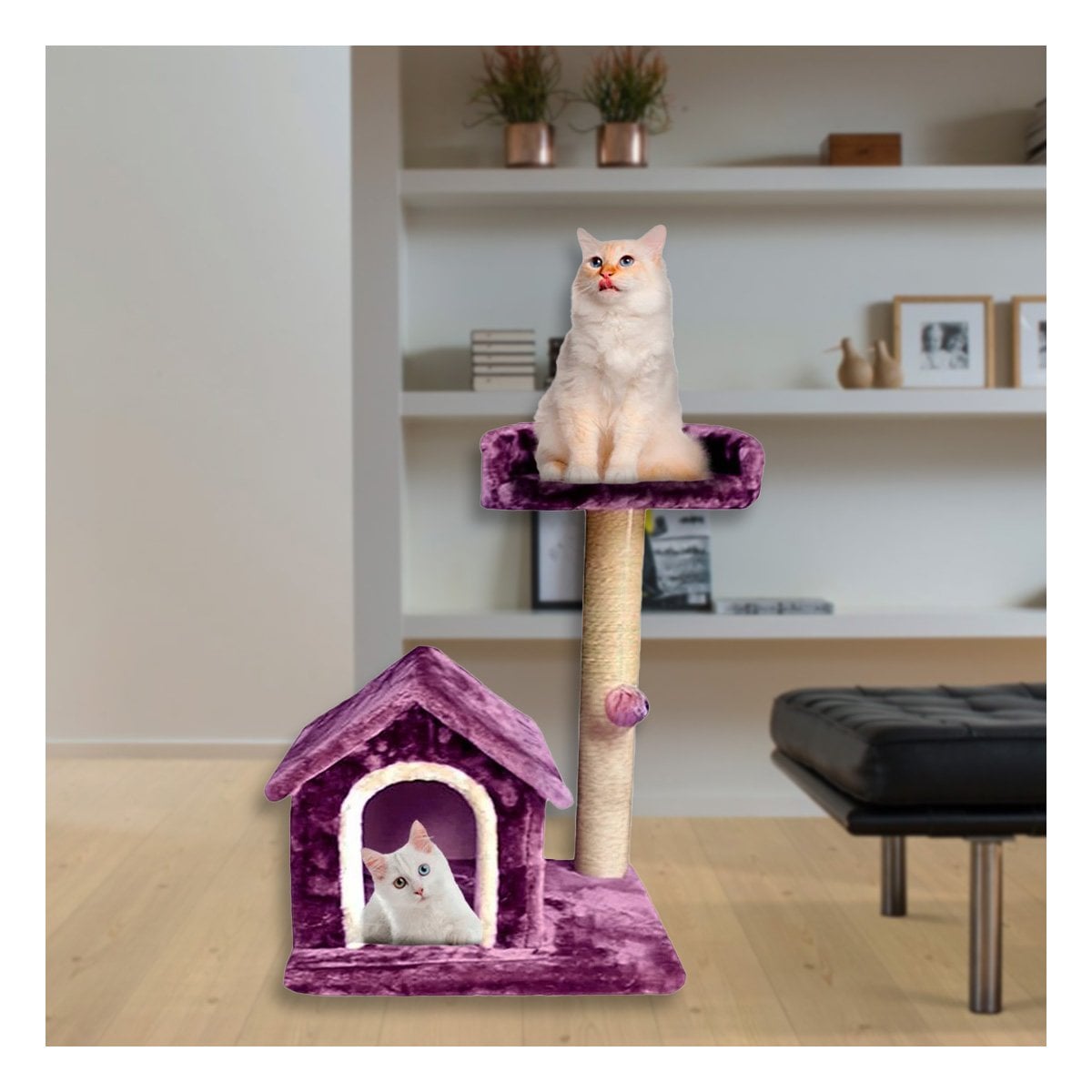 PACK2 CASITA DE DIVERSION INTERACTIVA Y SEGURA CON ESCALERAS EN LILA PARA GATOS Y+PAPEL REGALO - 5