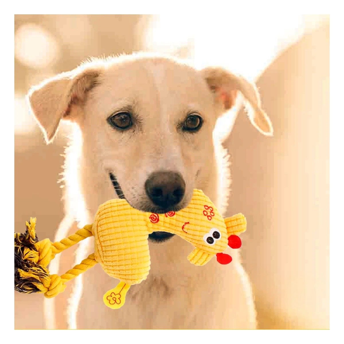 PACK12 FIGURA PELUCHE AMARILLO PARA MASCOTA COMODO Y SEGURO COMPACTO Y+PAPEL REGALO - 3