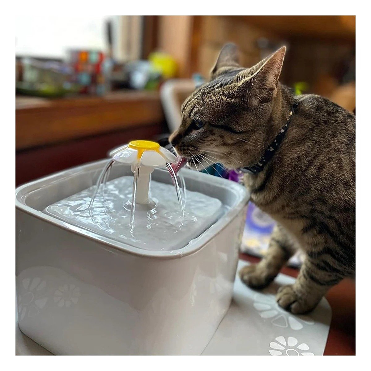 PACK4 CENTRO DE AGUA CUADRADO PARA MASCOTA BLANCO PLOMO COMPACTA SEGURA FIRME Y+REGALO STICKER - 5