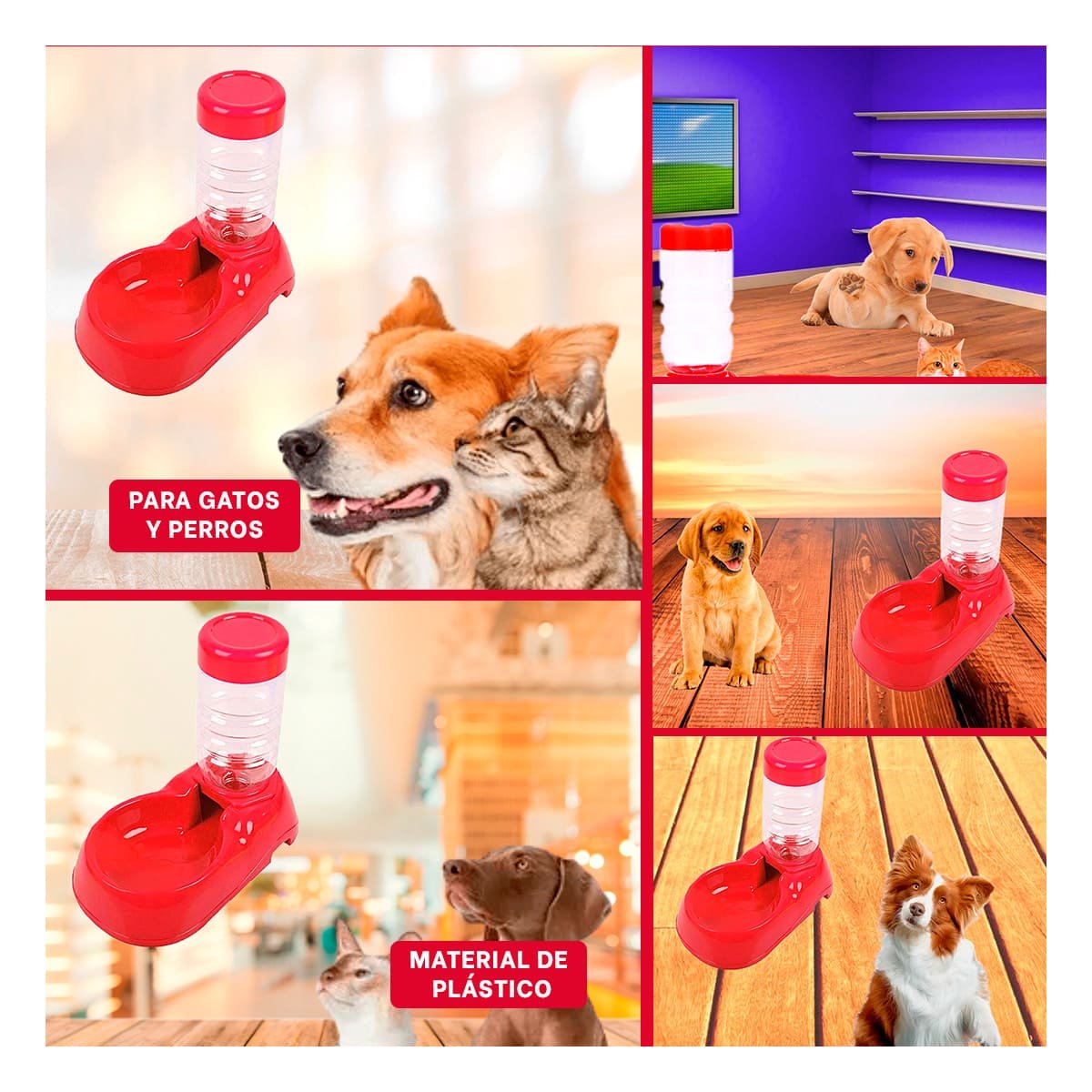 PACK4 MODULO DE AGUA ROJO PARA MASCOTA COMODO Y PRACTICO Y RESISTENTE Y+REGALO STICKER - 2