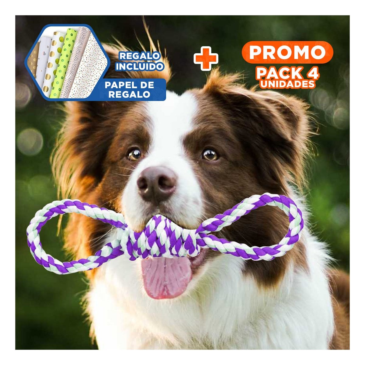 PACK4 LAZO DE ALGODON PARA MASCOTA MORADO CON 4 NUDOS DURADERO Y SEGURO Y+PAPEL REGALO - 1
