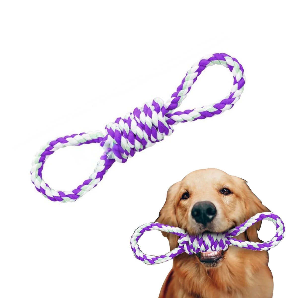 PACK4 LAZO DE ALGODON PARA MASCOTA MORADO CON 4 NUDOS DURADERO Y SEGURO Y+PAPEL REGALO - 3