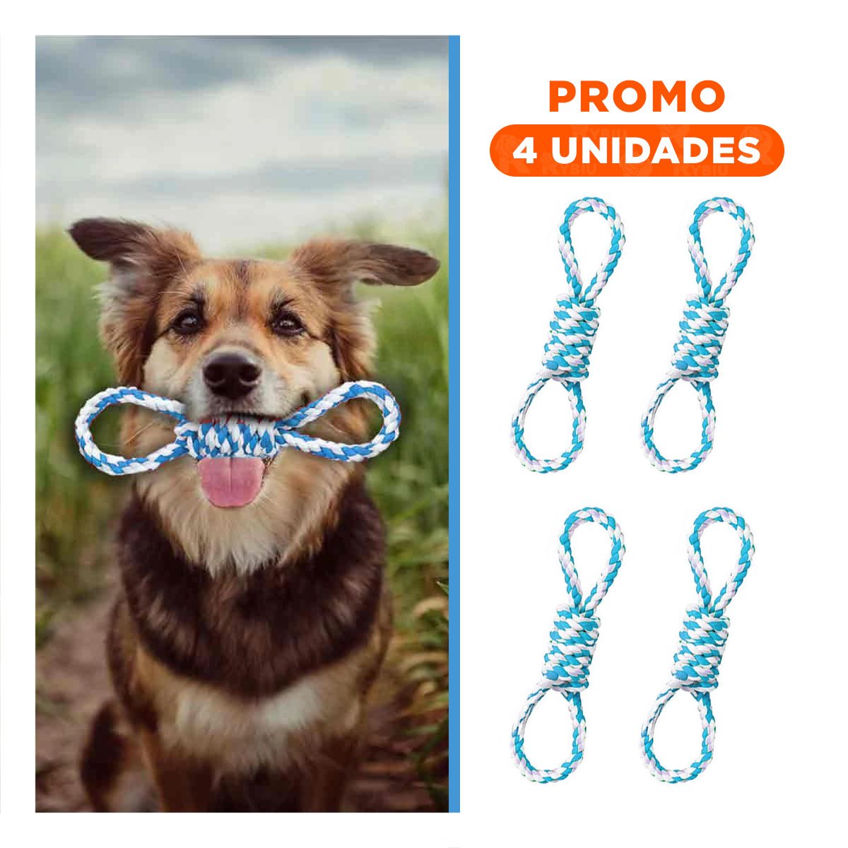 PACK4 LAZO DE ALGODON CELESTE CON 4 NUDOS PARA MASCOTA FUERTE Y COMODO Y+REGALO STICKER - 1