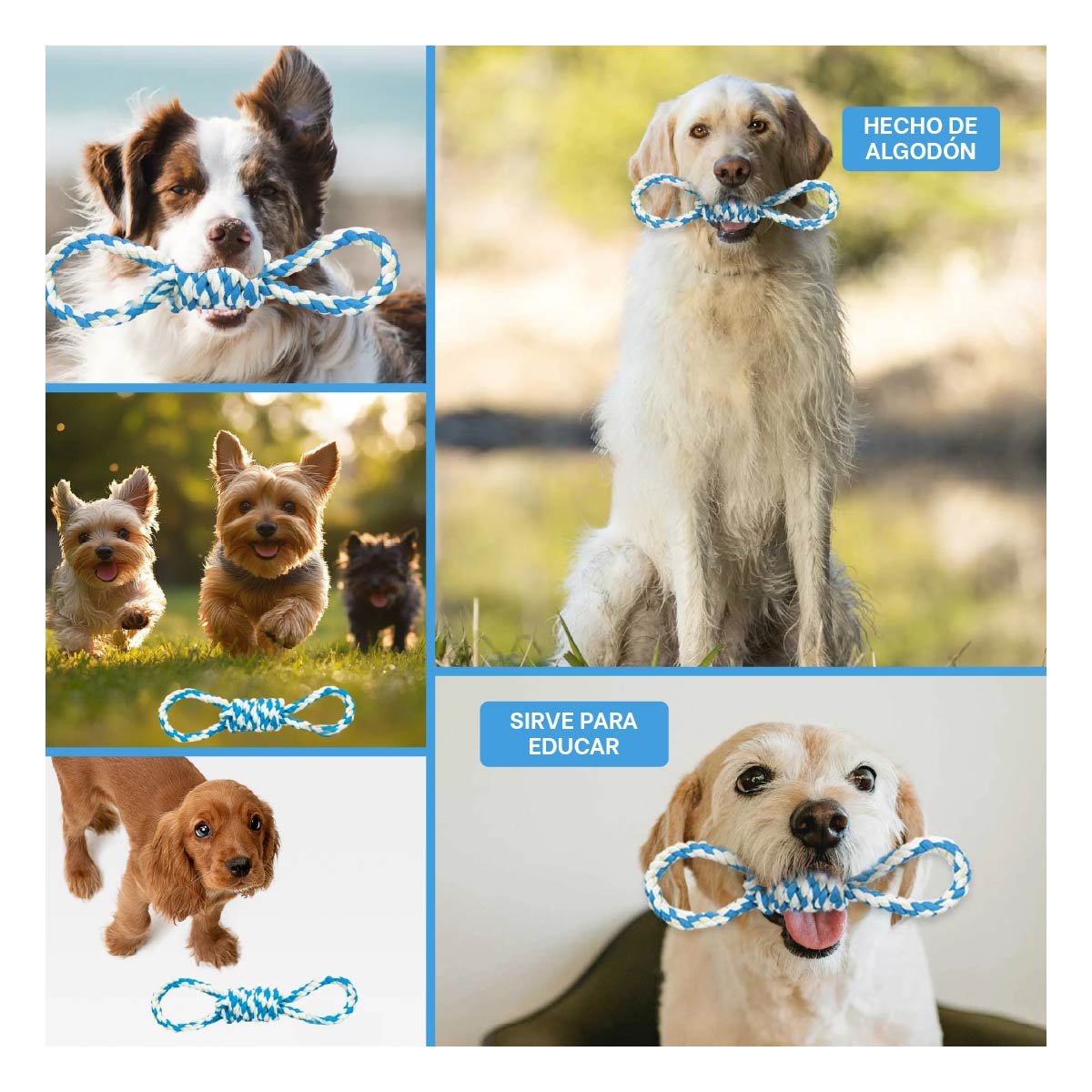PACK4 LAZO DE ALGODON CELESTE CON 4 NUDOS PARA MASCOTA FUERTE Y COMODO Y+REGALO STICKER - 2