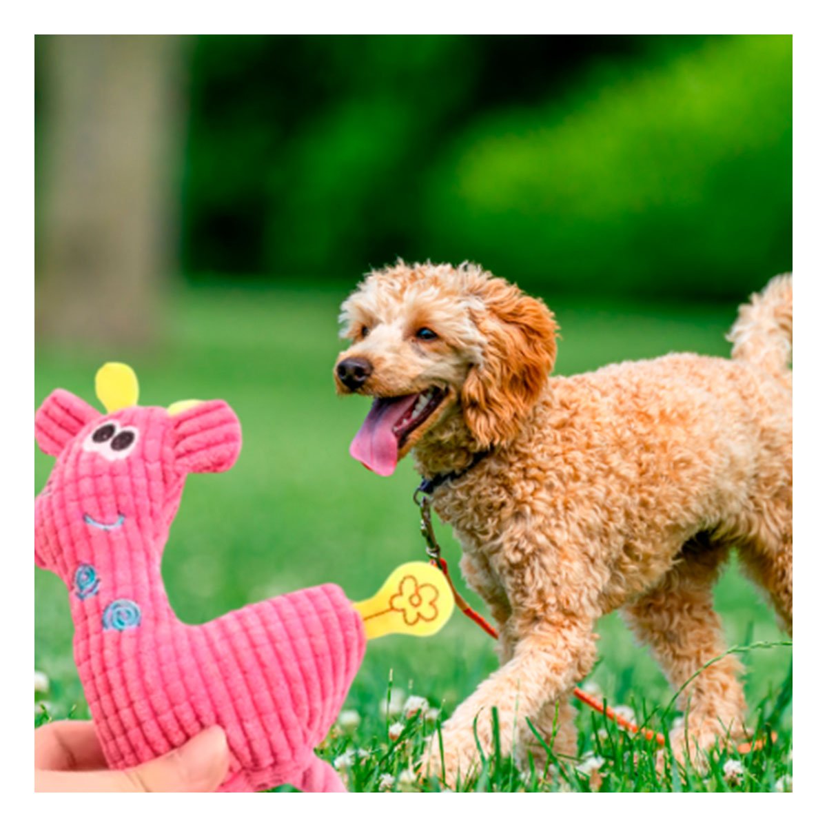 PACK4 COMPANERO DE PELUCHE DECORATIVO QUE INSPIRA ALEGRIA EN ROSADO Y+PAPEL REGALO - 5