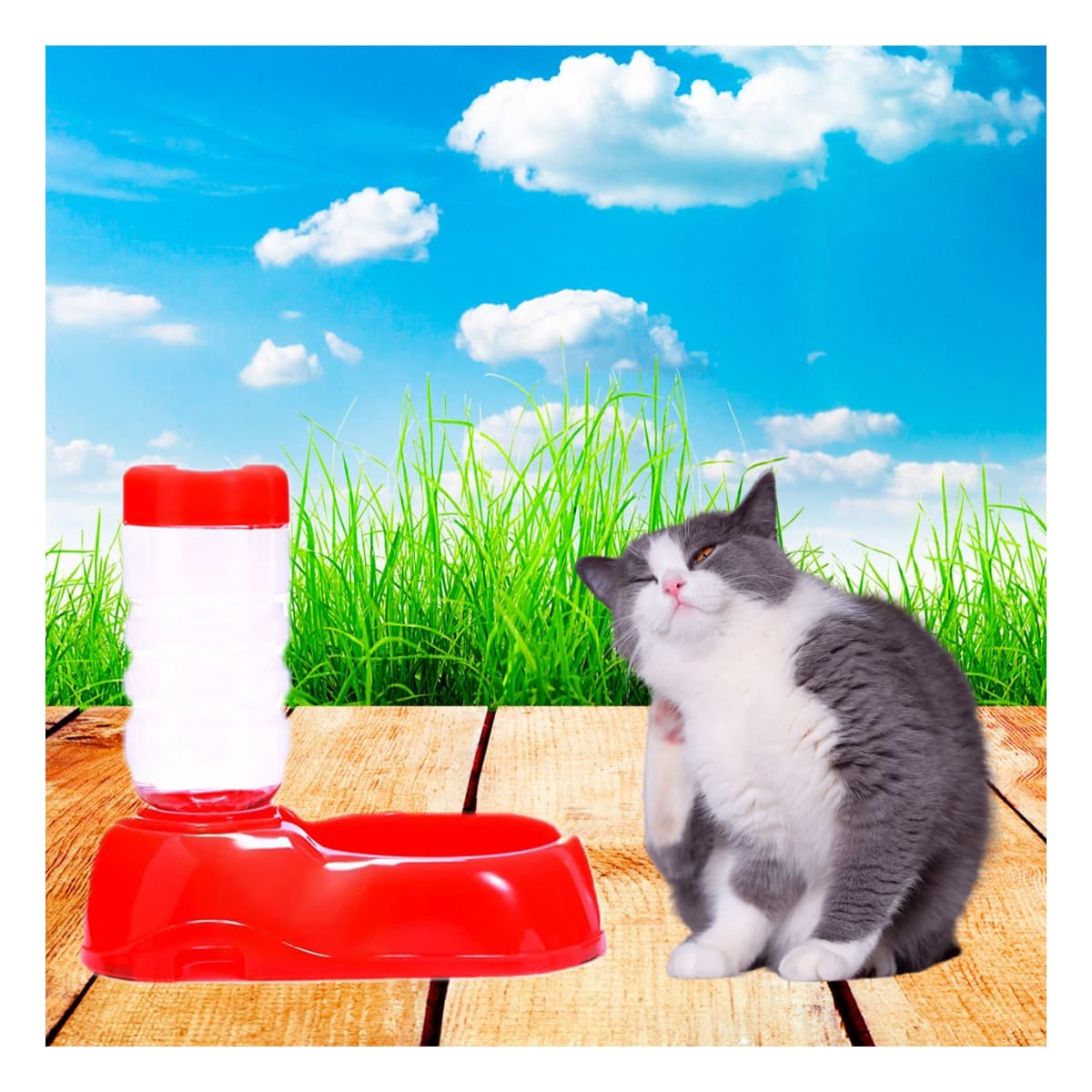 PACK6 MODULO DE AGUA PARA MASCOTA ROJO FIRME Y PRACTICO Y RESISTENTE Y+PAPEL REGALO - 2