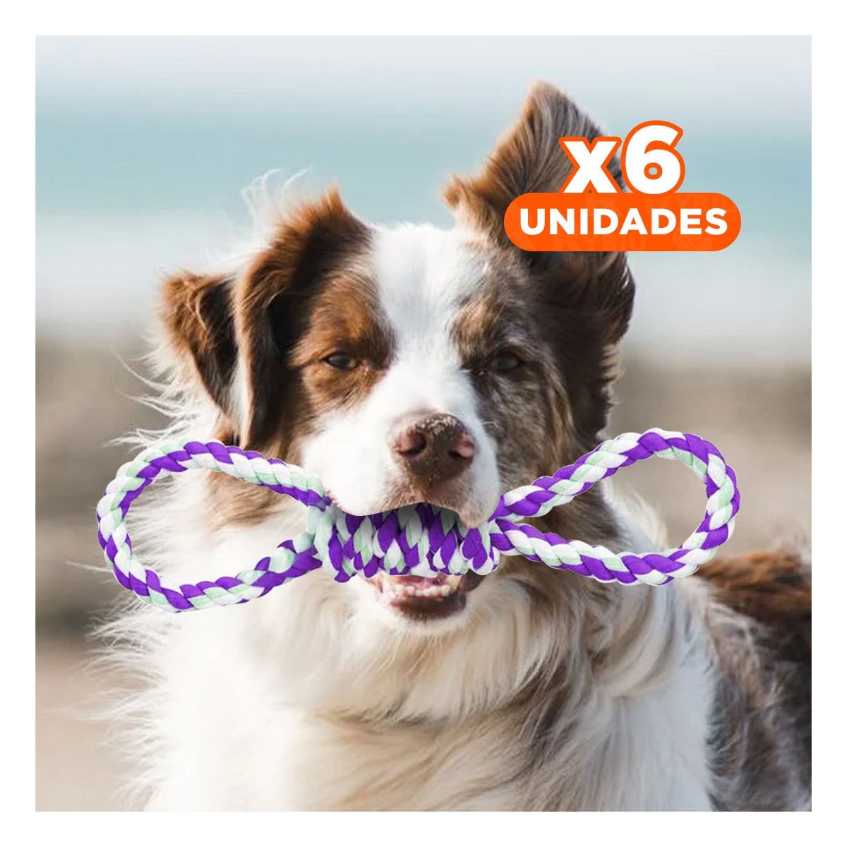 PACK6 OBJETO DE JUEGO MORADO PARA MASCOTA CON 4 NUDOS RESISTENTE Y FUERTE Y+REGALO STICKER - 1