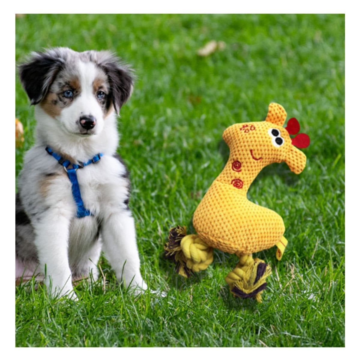 PACK2 MINI GIRAFA PELUCHE AMARILLO PARA MASCOTA SUAVE Y REFORZADO Y+PAPEL REGALO - 5