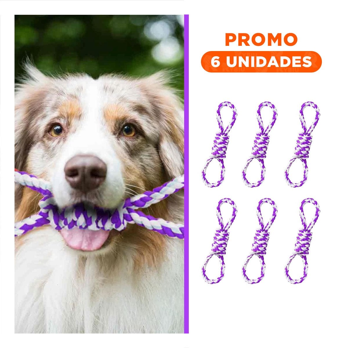PACK6 LAZO DE ALGODON MORADO PARA MASCOTA 4 NUDOS REFORZADO Y RESISTENTE - 1