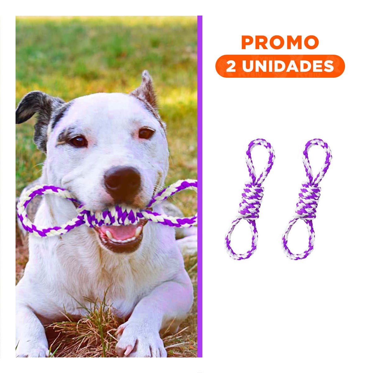 PACK2 JUGUETE TRENZADO MORADO CON 4 NUDOS PARA MASCOTA DURADERO Y COMODO - 1