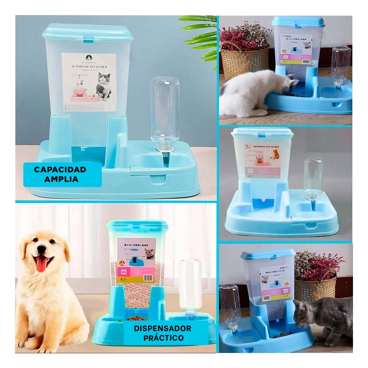 PACK6 BASE DOBLE CELESTE PARA MASCOTA COMODA Y SEGURA REFORZADA Y+PAPEL REGALO - 3