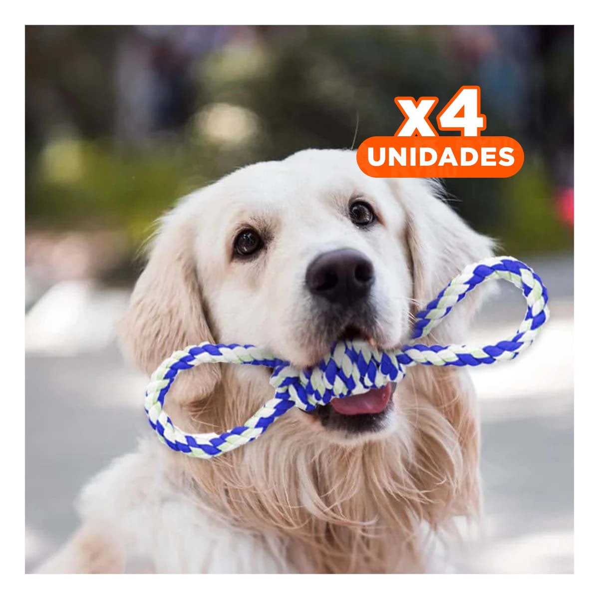 PACK4 LAZO DE ALGODON AZUL PARA MASCOTA CON 4 NUDOS RESISTENTE Y FIRME - 1