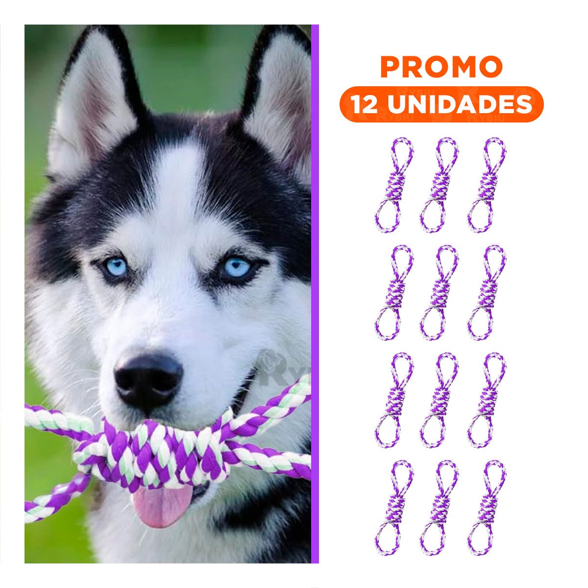 PACK12 OBJETO DE JUEGO MORADO PARA MASCOTA 4 NUDOS REFORZADO Y RESISTENTE Y+REGALO STICKER - 1