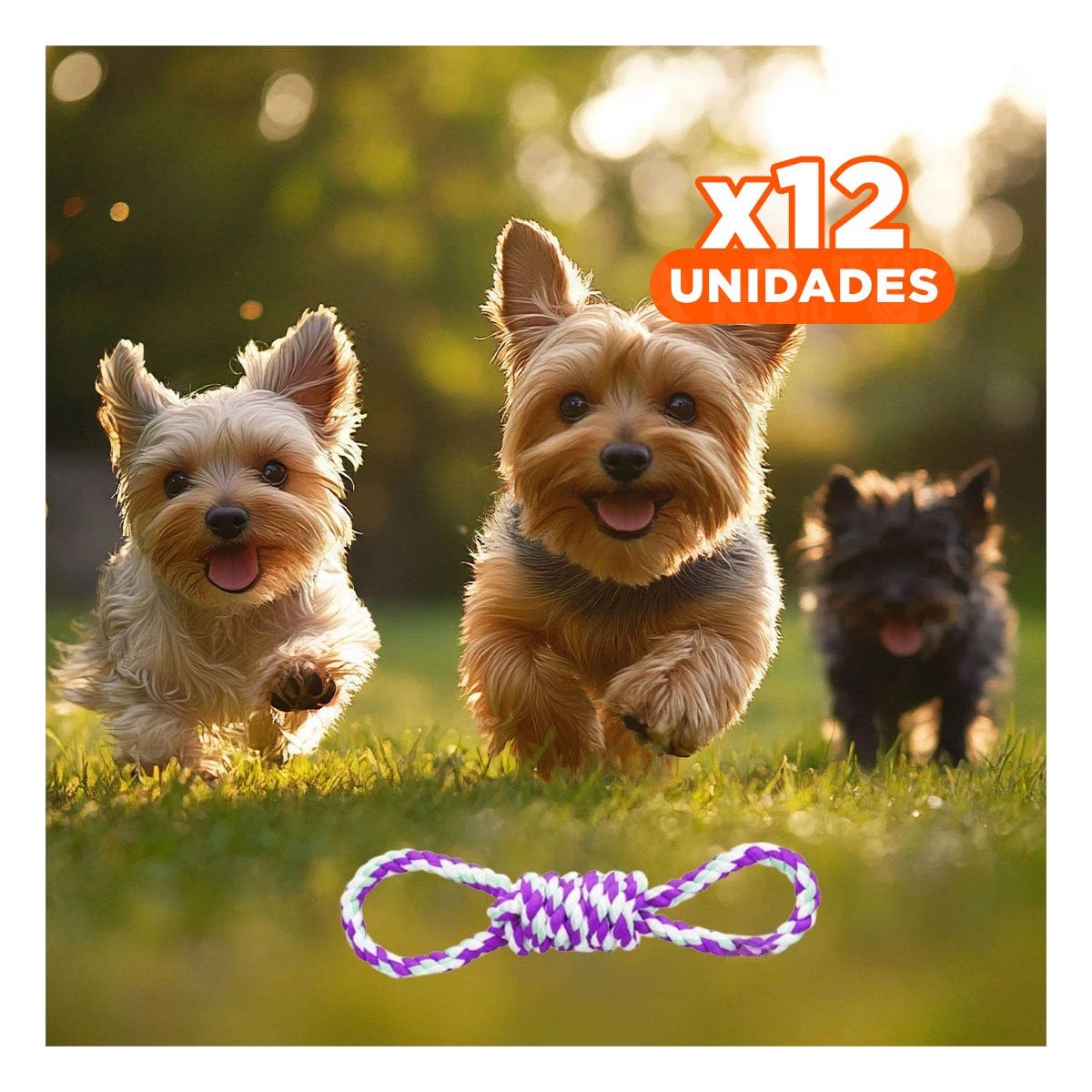 PACK12 OBJETO DE JUEGO PARA MASCOTA MORADO CON 4 NUDOS FIRME Y SEGURO - 1