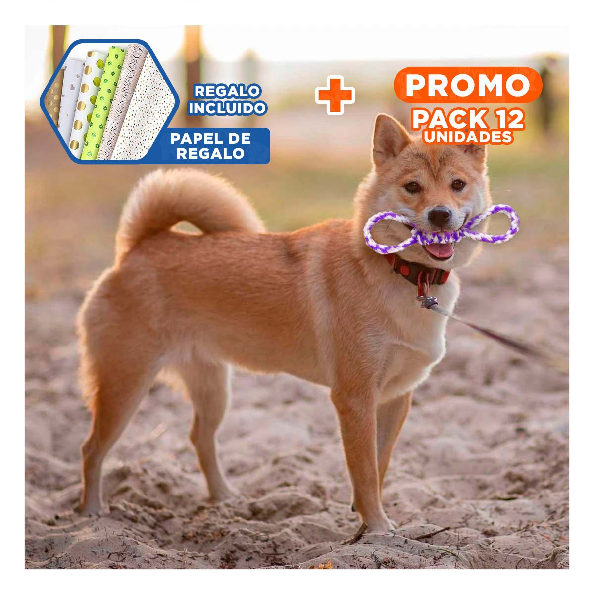 PACK12 OBJETO DE JUEGO MORADO CON 4 NUDOS PARA MASCOTA DURADERO Y COMODO Y+PAPEL REGALO - 1
