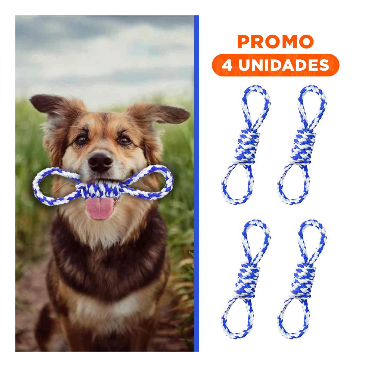 PACK4 LAZO DE ALGODON AZUL CON 4 NUDOS PARA MASCOTA FUERTE Y COMODO Y+REGALO STICKER - 1