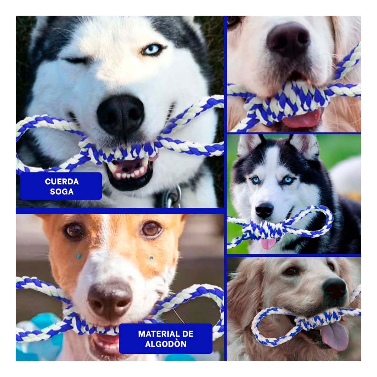 PACK4 LAZO DE ALGODON AZUL CON 4 NUDOS PARA MASCOTA FUERTE Y COMODO Y+REGALO STICKER - 2