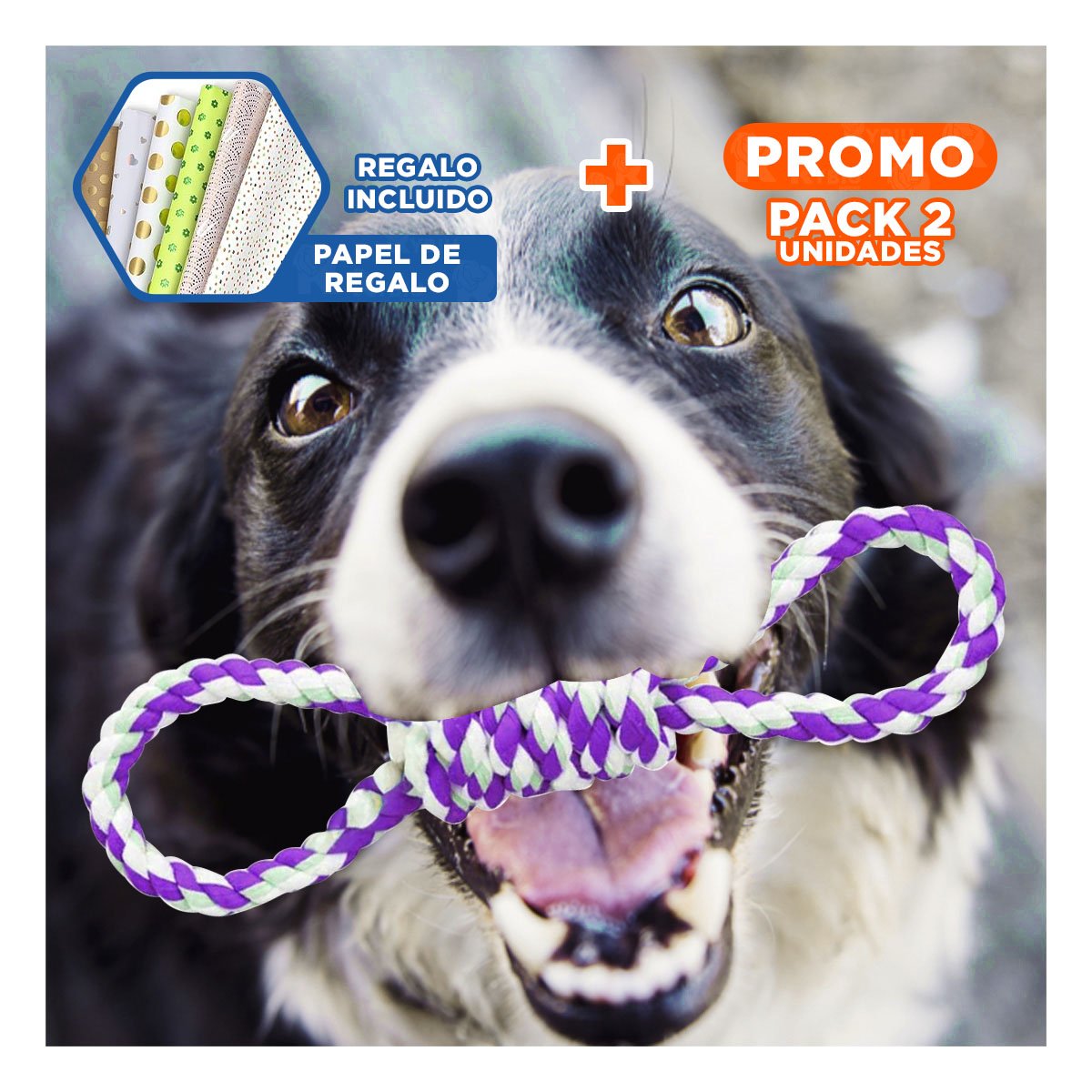 PACK2 JUGUETE TRENZADO MORADO PARA MASCOTA 4 NUDOS REFORZADO Y RESISTENTE Y+PAPEL REGALO - 1