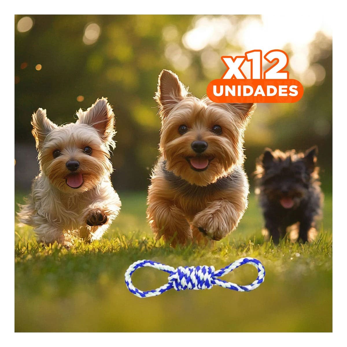 PACK12 OBJETO DE JUEGO PARA MASCOTA AZUL CON 4 NUDOS FIRME Y SEGURO - 1