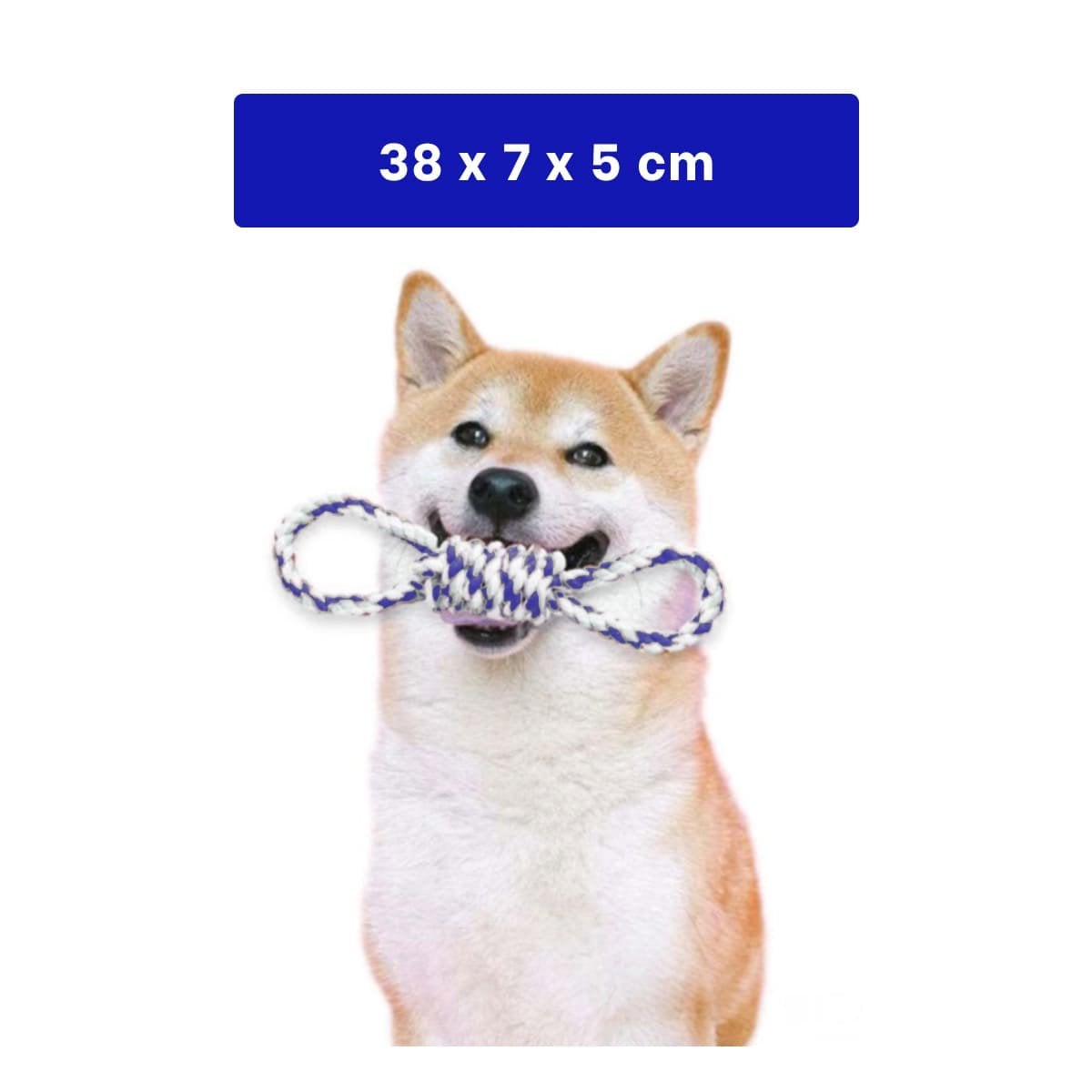 PACK12 OBJETO DE JUEGO PARA MASCOTA AZUL CON 4 NUDOS FIRME Y SEGURO - 4