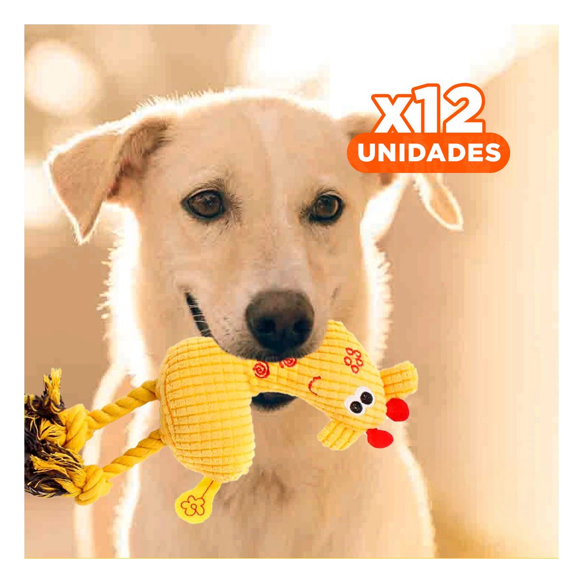 PACK12 FIGURA PELUCHE AMARILLO PARA MASCOTA SUAVE Y PROTEGIDO DURABLE - 1