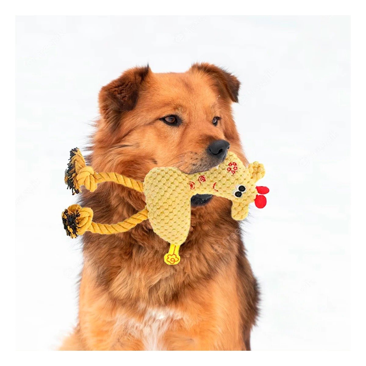 PACK12 FIGURA PELUCHE AMARILLO PARA MASCOTA SUAVE Y PROTEGIDO DURABLE - 5
