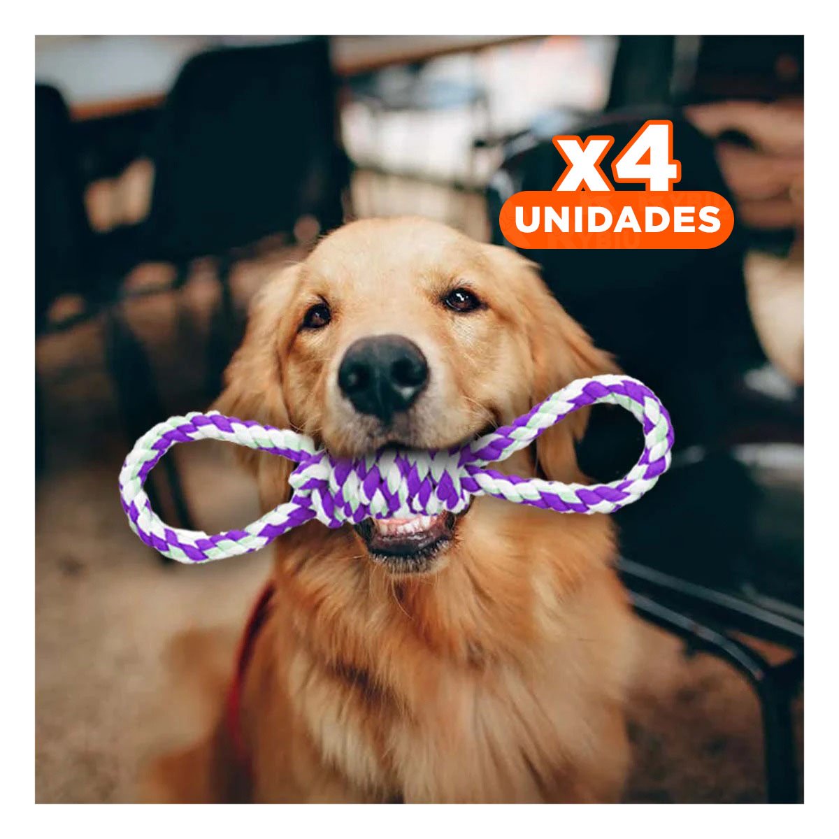 PACK4 LAZO DE ALGODON MORADO PARA MASCOTA CON 4 NUDOS RESISTENTE Y FIRME - 1