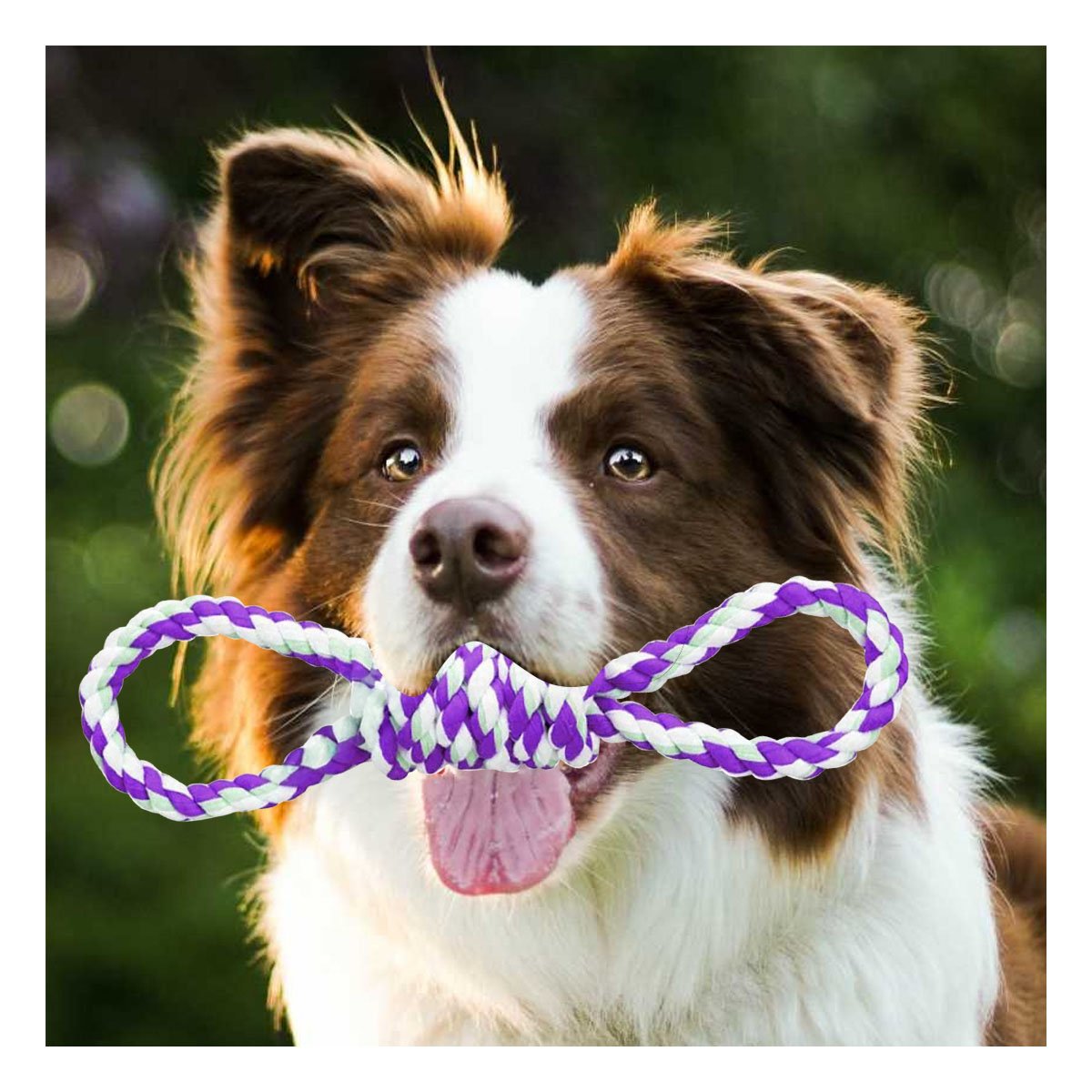 PACK4 LAZO DE ALGODON MORADO PARA MASCOTA CON 4 NUDOS RESISTENTE Y FIRME - 5