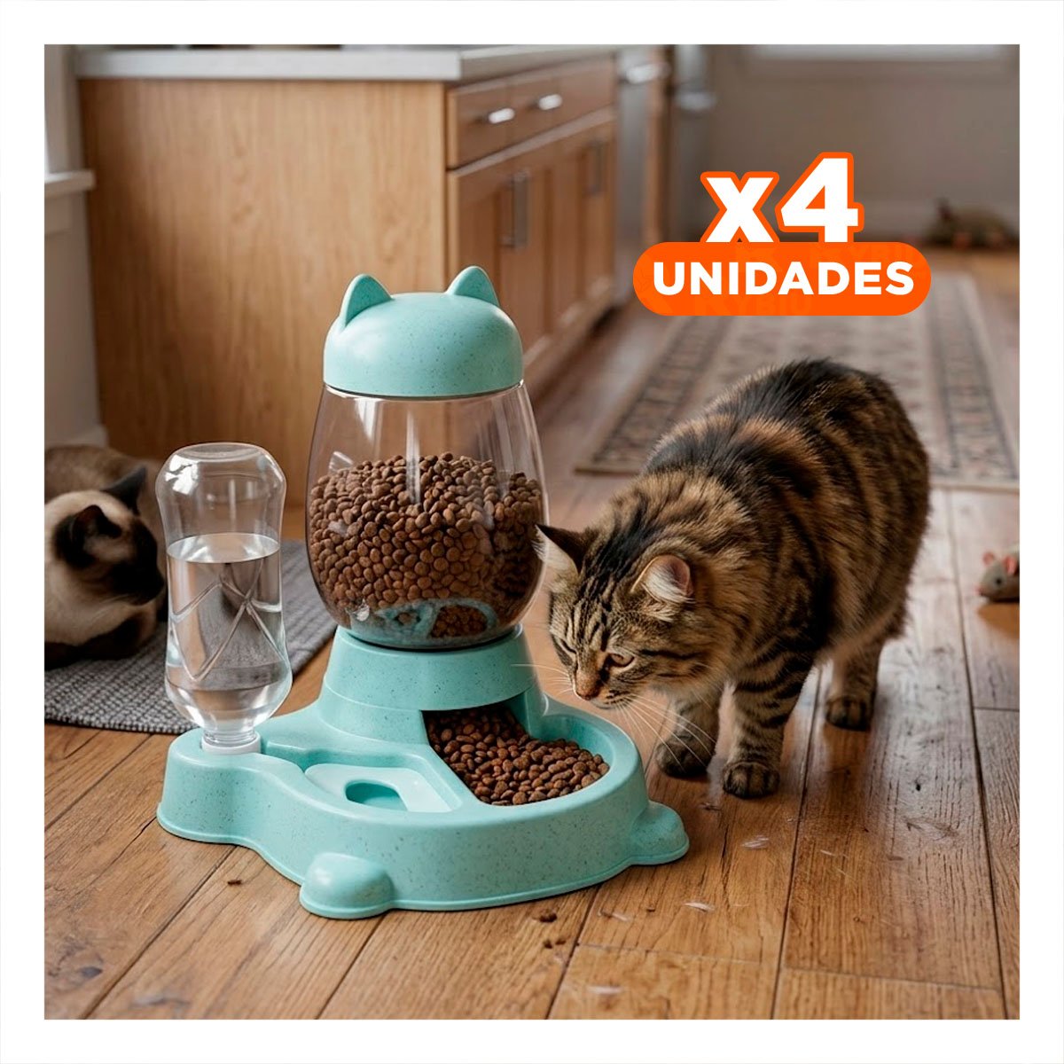 PACK4 BEBIDA Y PLATO UNIDO PET GATO BLANCO CELESTE MODERNO - 1