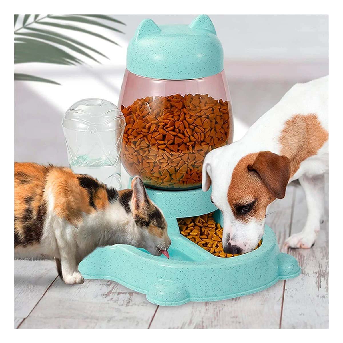 PACK4 BEBIDA Y PLATO UNIDO PET GATO BLANCO CELESTE MODERNO - 2
