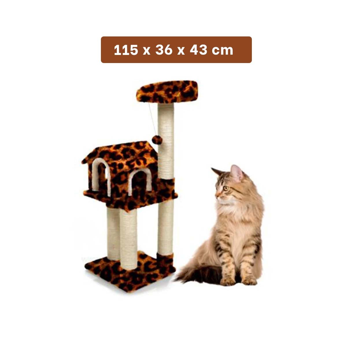 PACK2 CASITA DE DIVERSION INTERACTIVA CON ESCALERAS EN ANIMAL PRINT PARA GATOS Y+PAPEL REGALO - 4