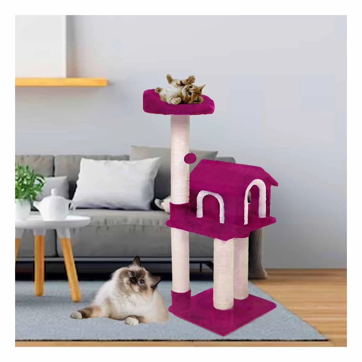 PACK2 MANSION DE GATO CASA RASCADOR FUCSIA TRES NIVELES PARA MASCOTA ROSA Y+REGALO STICKER - 3