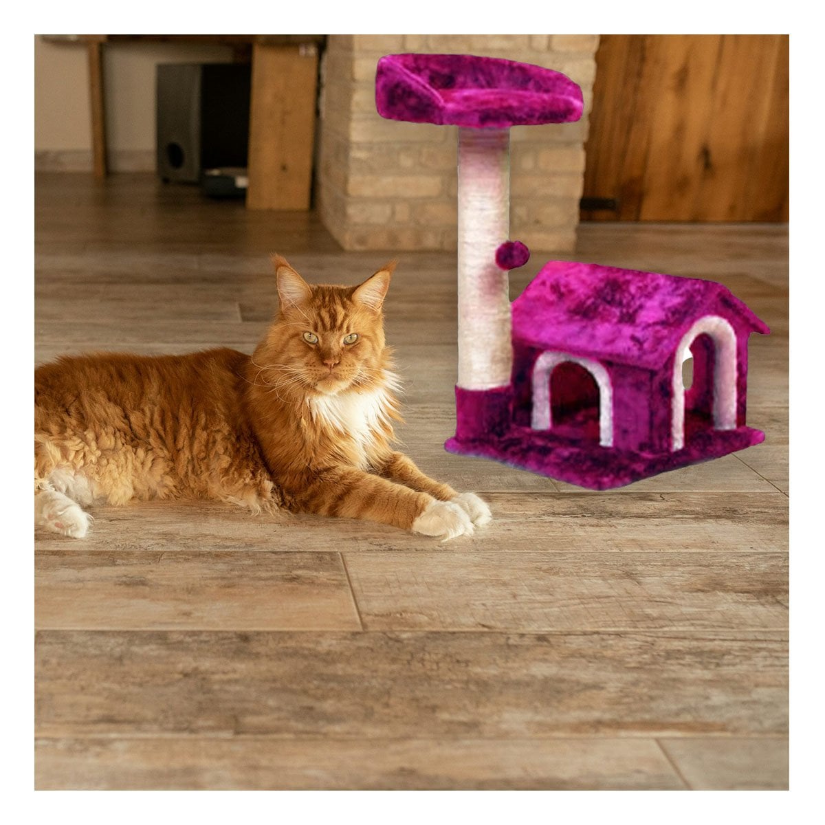 PACK2 CASITA DE DIVERSION INTERACTIVA Y SEGURA EN ROSADO PARA GATOS Y+PAPEL REGALO - 5