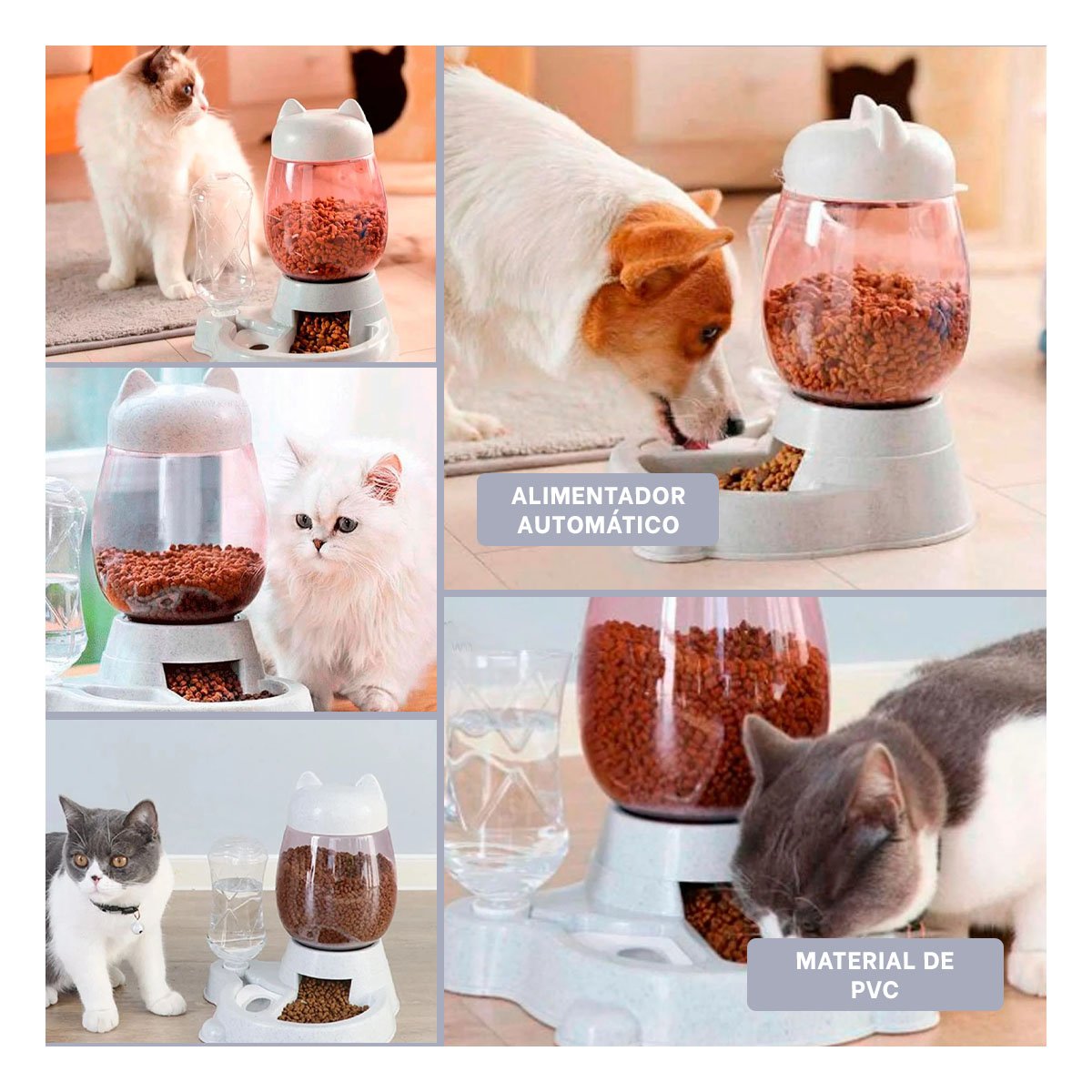 PACK2 ALIMENTO UNIDO PET GATO BLANCO BLANCO ELEGANTE Y+PAPEL REGALO - 3