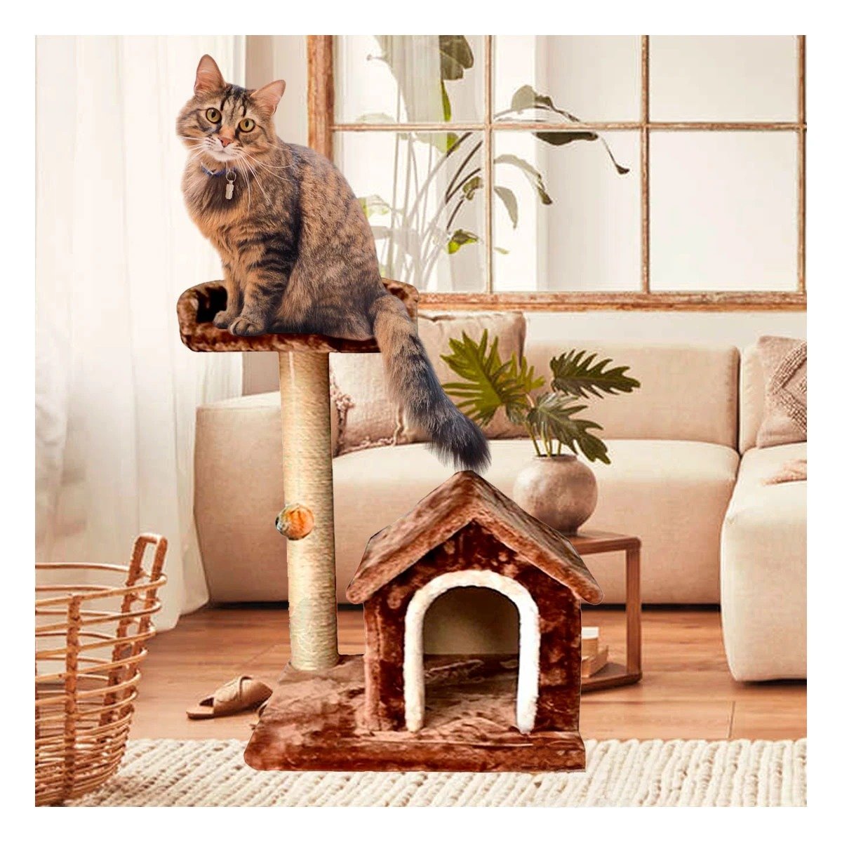 PACK2 CASITA DE DIVERSION INTERACTIVA Y SEGURA EN MARRON PARA GATOS Y+PAPEL REGALO - 2