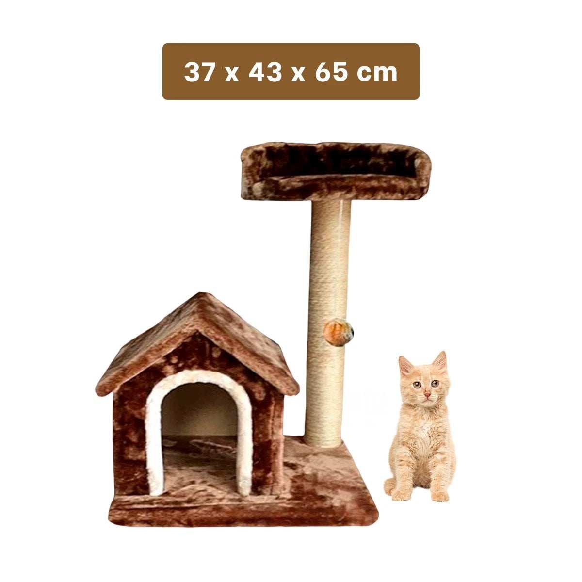 PACK2 CASITA DE DIVERSION INTERACTIVA Y SEGURA EN MARRON PARA GATOS Y+PAPEL REGALO - 4
