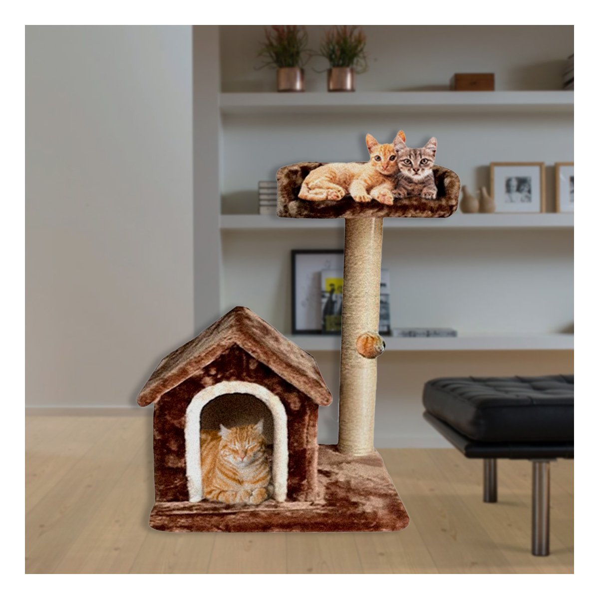 PACK2 CASITA DE DIVERSION INTERACTIVA Y SEGURA EN MARRON PARA GATOS Y+PAPEL REGALO - 5