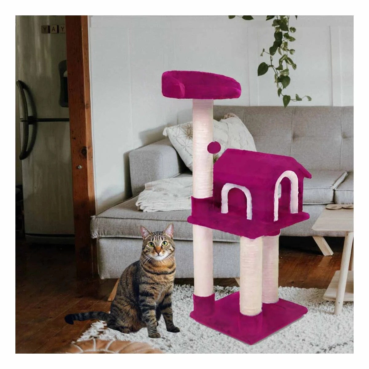 PACK2 MANSION DE GATO CASA TRES NIVELES RASCADOR FUCSIA PARA GATO MODERNO Y+PAPEL REGALO - 2
