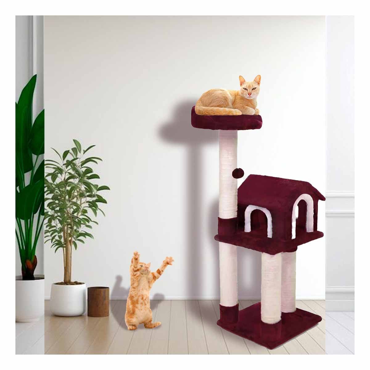 PACK2 GYM DE GATO CASA GUINDA RASCADOR TRES NIVELES PARA MASCOTA ROJO Y+PAPEL REGALO - 5