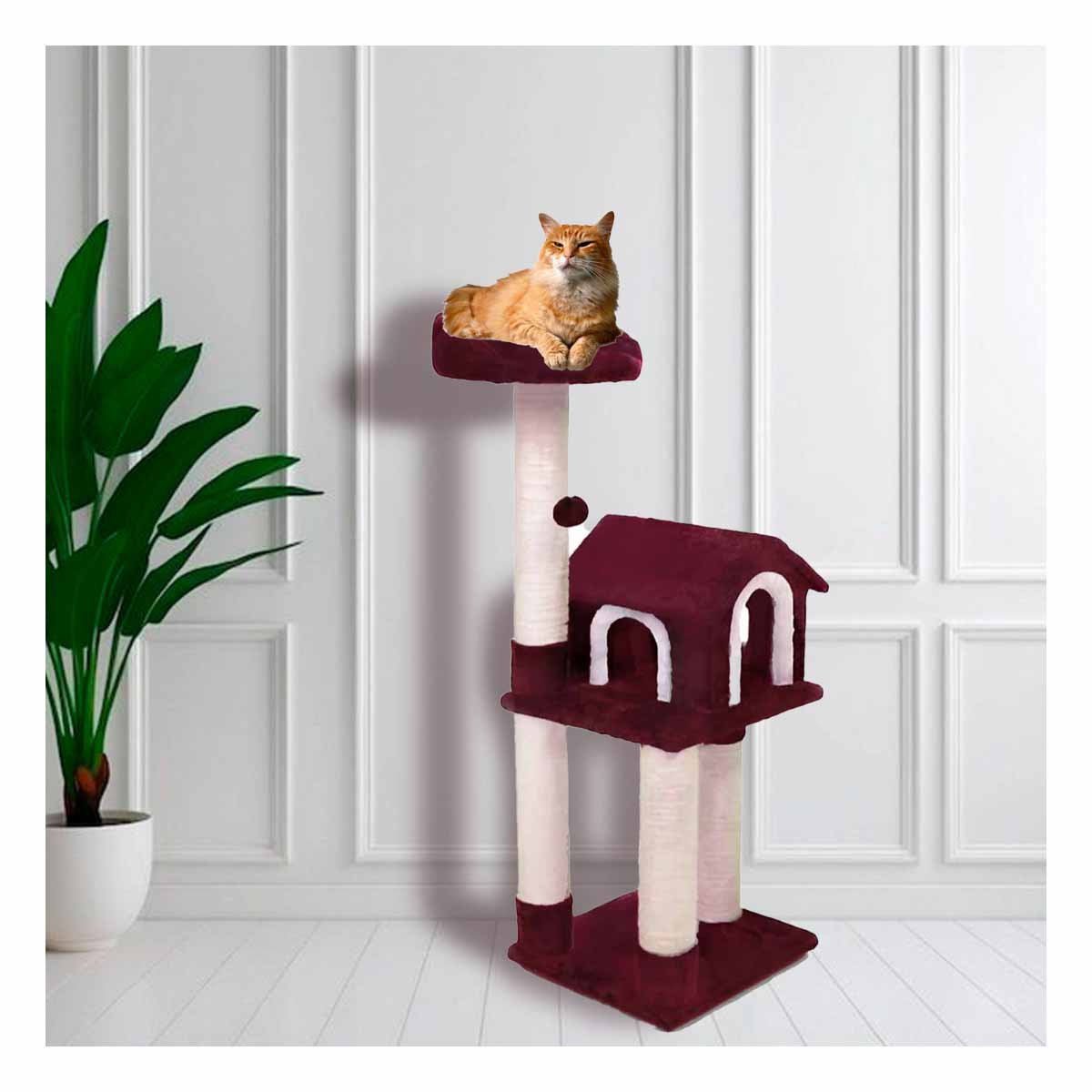 PACK2 GYM DE GATO CASA GUINDA TRES NIVELES RASCADOR DURADERO PARA GATO Y EL HOGAR - 5