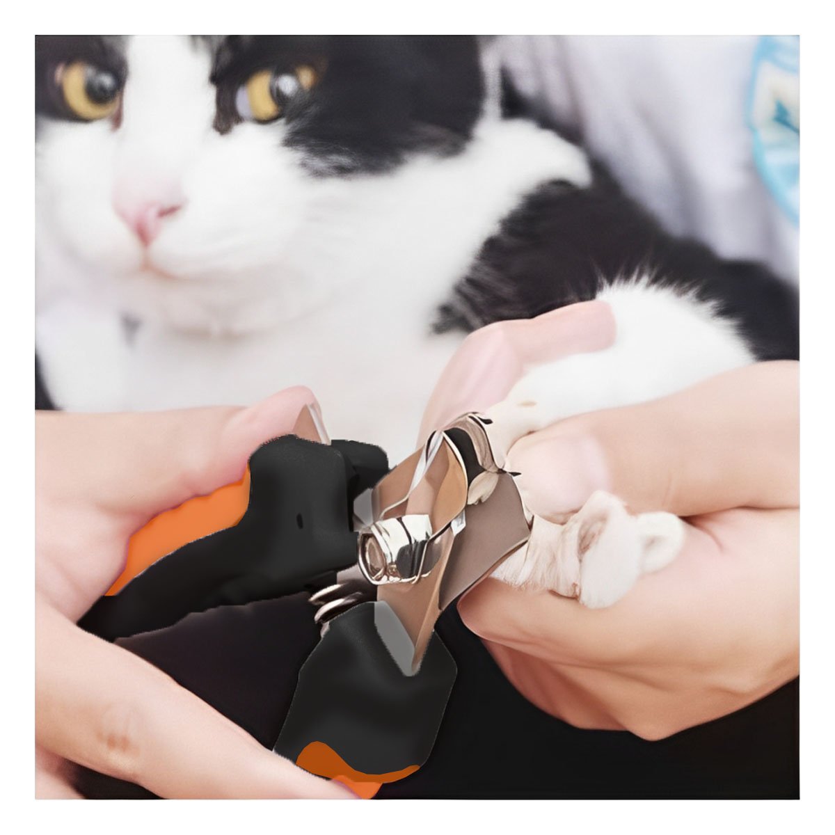 PACK4 CORTA UÑA PET ANARANJADO TALLA L DE CALIDAD ROBUSTA PARA MASCOTAS Y+REGALO STICKER - 5
