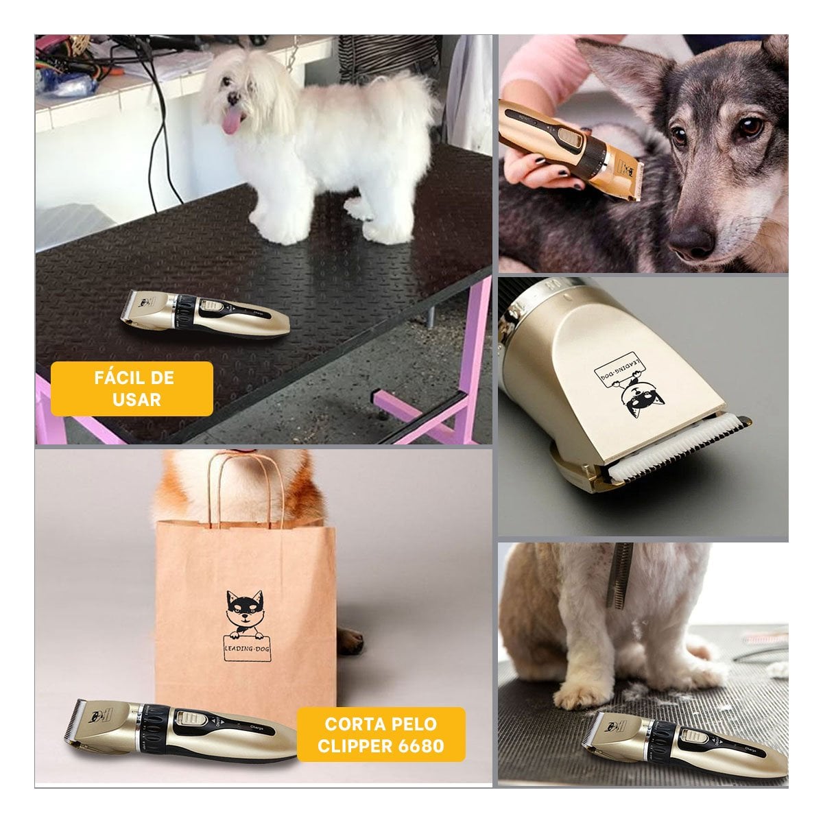 PACK4 CORTA PELO DE MASCOTAS DORADO DE CALIDAD ROBUSTA PARA EL PELAJE Y+REGALO STICKER - 2