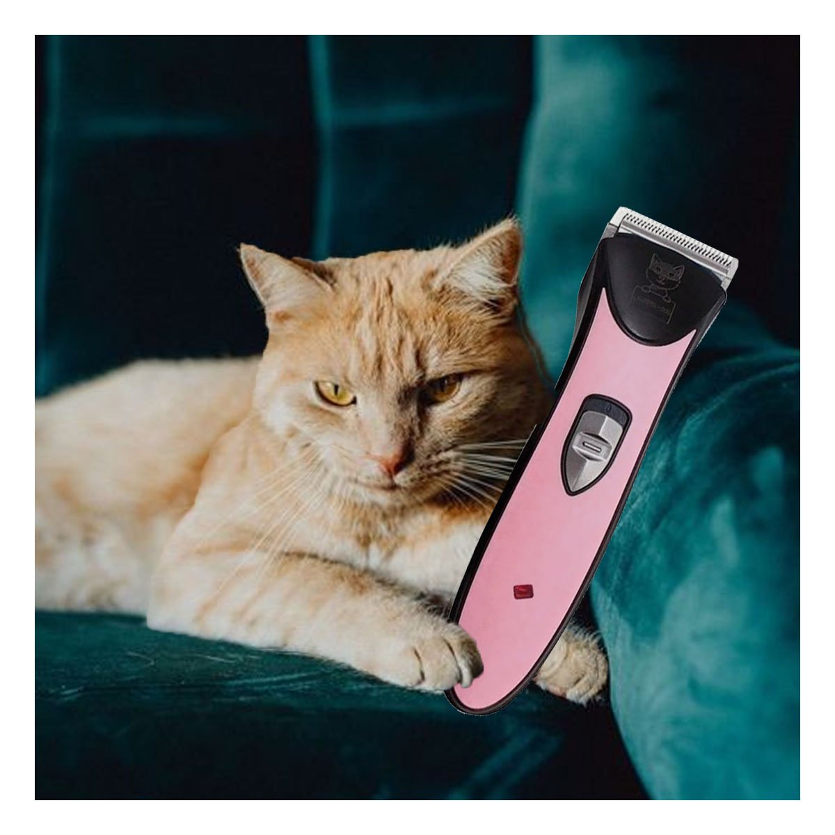 PACK6 MAQUINA DE GROOMING PARA FOMENTAR MUCHA LIMPIEZA ROSADO - 2