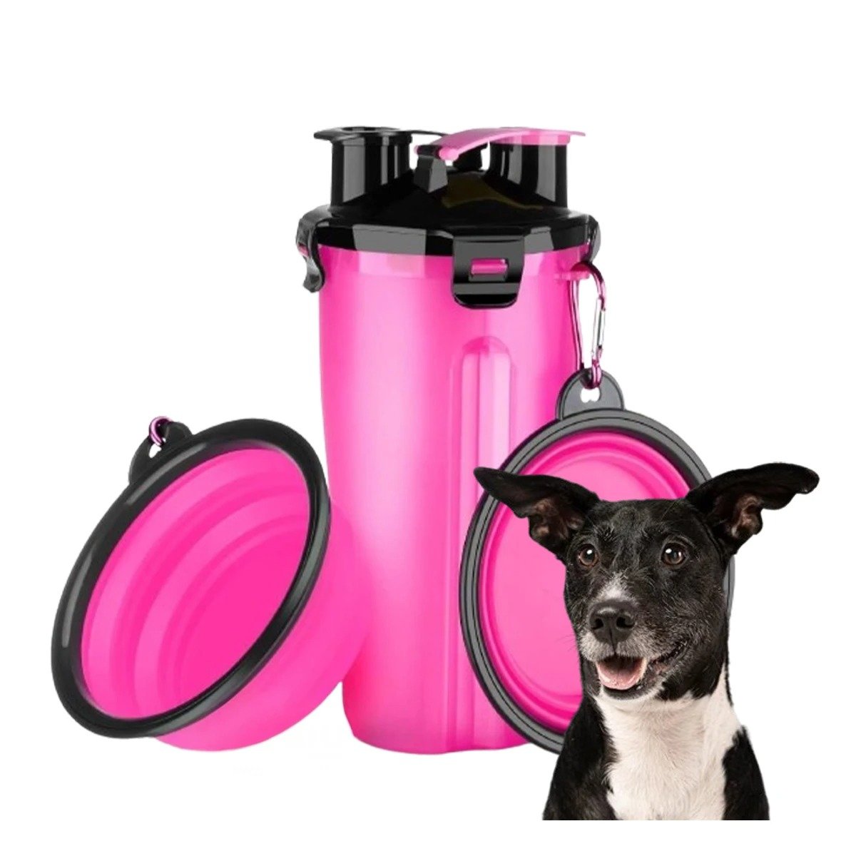 PACK4 CONTENEDOR CON PLATO PLEGABLE INTEGRADO PARA MASCOTA ROSADO Y+PAPEL REGALO - 3