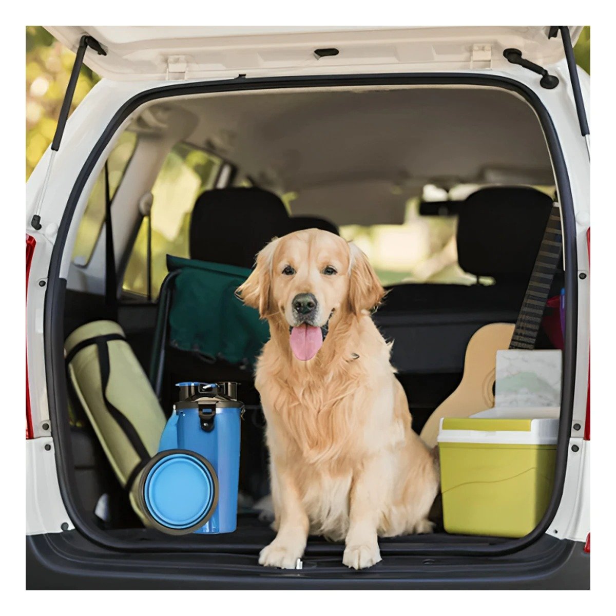 PACK2 RECIPIENTE DOBLE USO PARA MASCOTA CON PLATO AZUL - 3