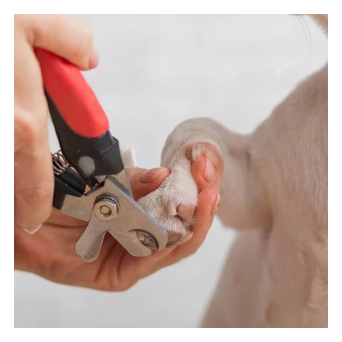 PACK4 HERRAMIENTA DE GROOMING CON ESTRUCTURA DE MUCHA FUERZA ROJO GRANDE - 3